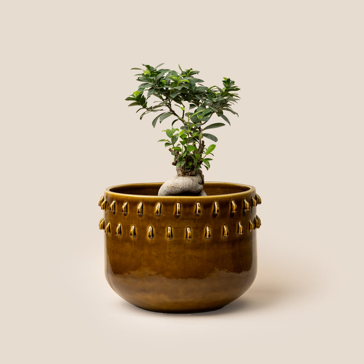 Brown Gaia Spike Planter - M