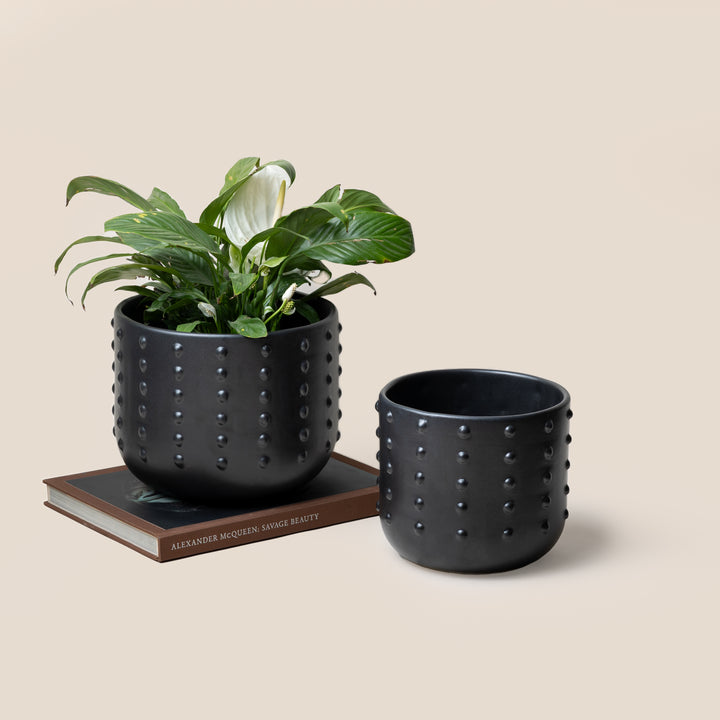 Black Gaia Dotted Planter - M