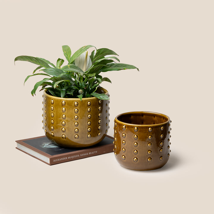 Brown Gaia Dotted Planter - L