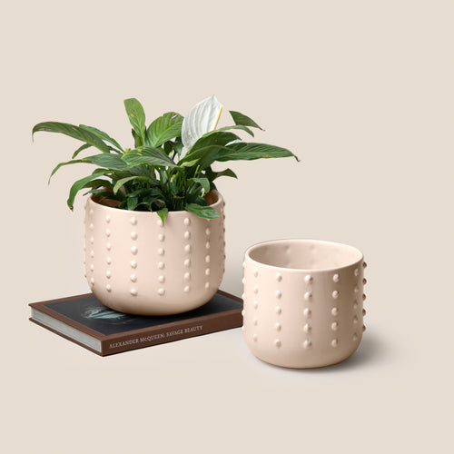 Ivory Gaia Dotted Planter - L