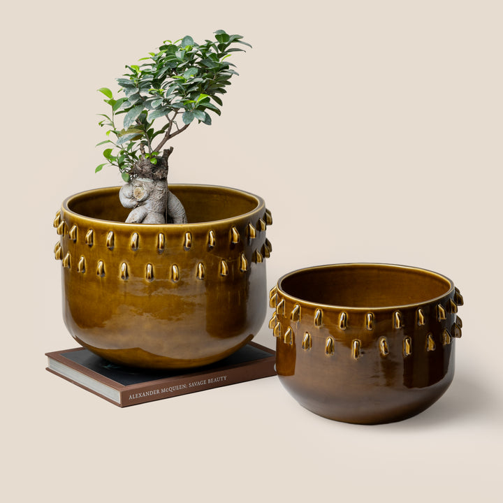 Brown Gaia Spike Planter - M