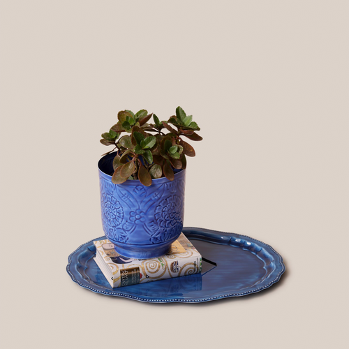 Amari Planters - Blue