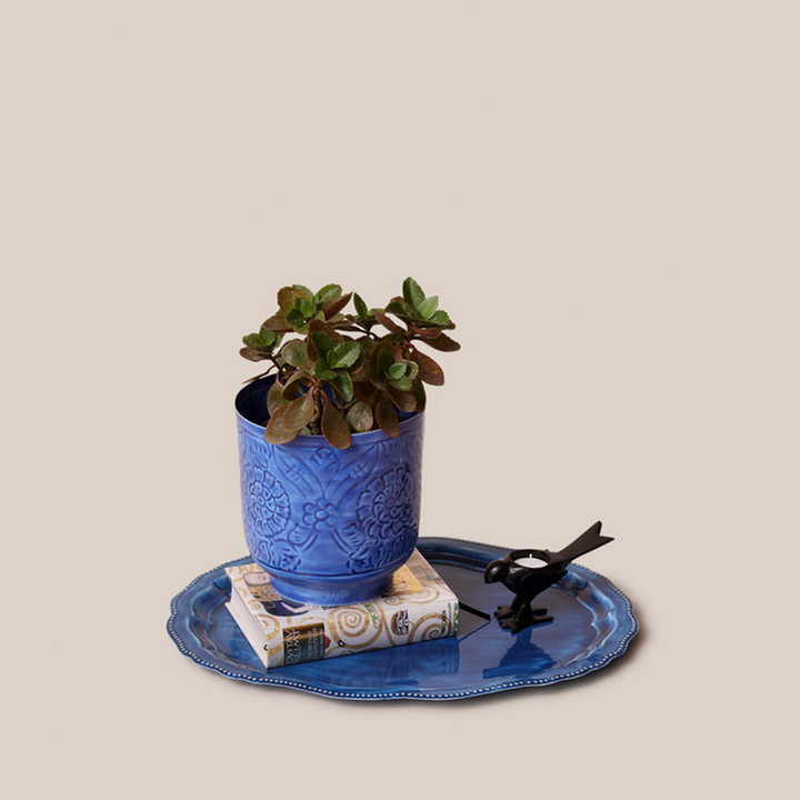 Amari Planters - Blue