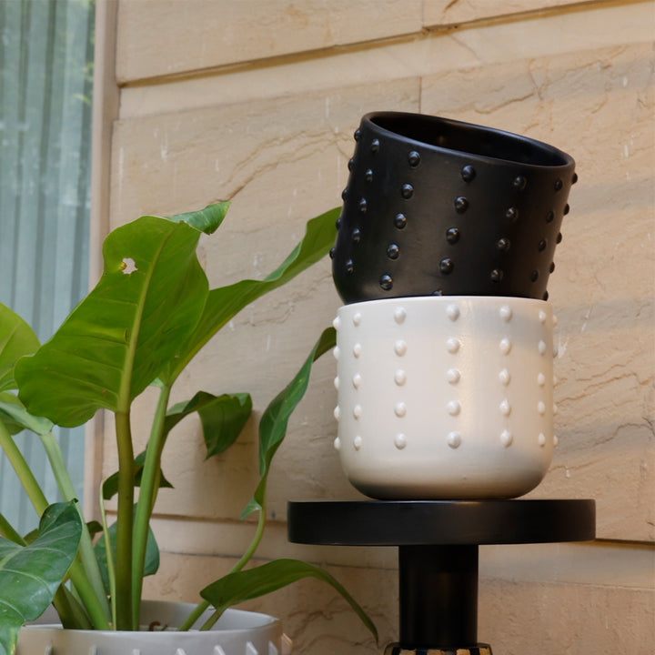 Black Gaia Dotted Planter - M